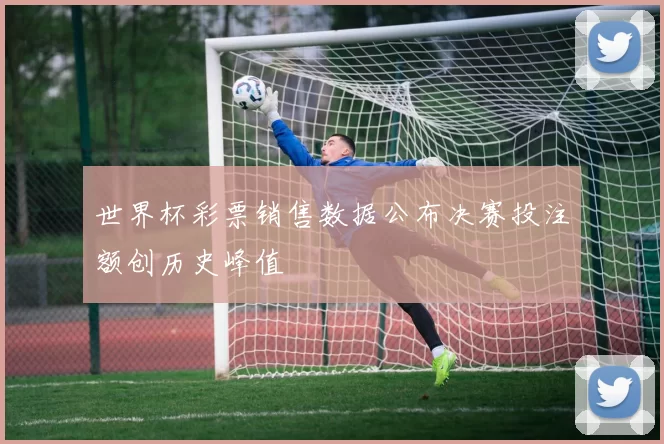 世界杯彩票销售数据公布决赛投注额创历史峰值