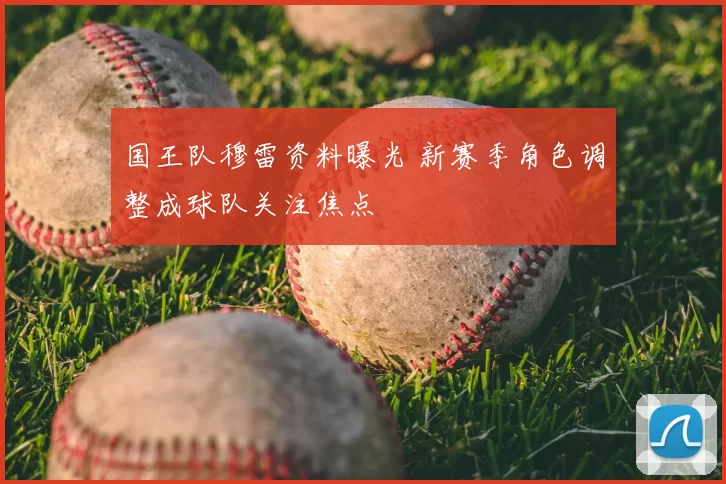 国王队穆雷资料曝光 新赛季角色调整成球队关注焦点