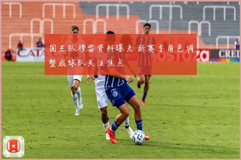 国王队穆雷资料曝光 新赛季角色调整成球队关注焦点