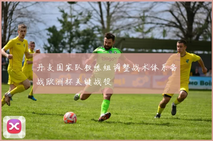 丹麦国家队教练组调整战术体系备战欧洲杯关键战役