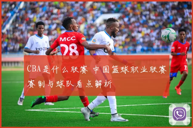 CBA是什么联赛 中国篮球职业联赛赛制与球队看点解析